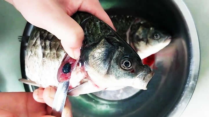 bo-phan-co-hai-o-ca bo-phan-khong-nen-ăn-cua-ca